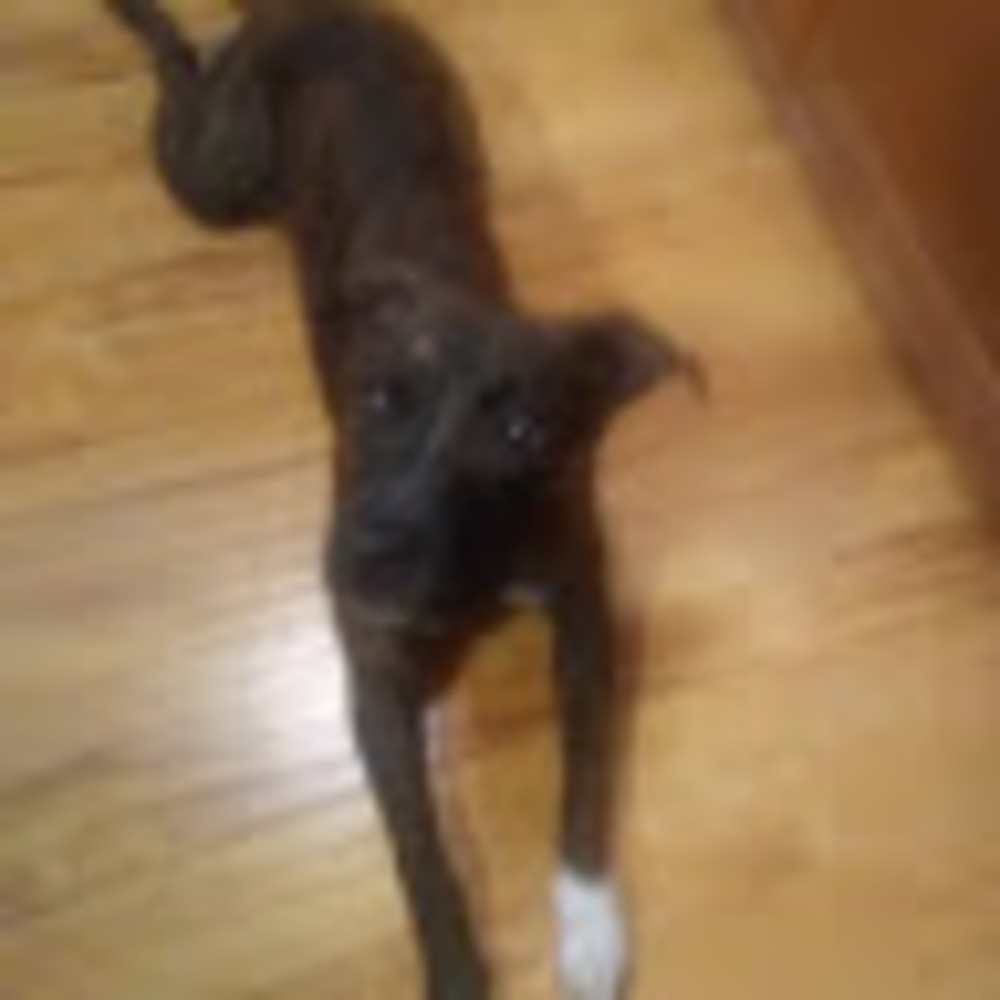 Meet your Posher, Faith